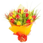 25 пионовидных разноцветных тюльпанов