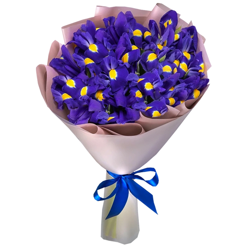 Букет из 15 синих ирисов