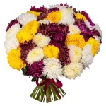 Букет из 51 разноцветной одноголовой хризантемы